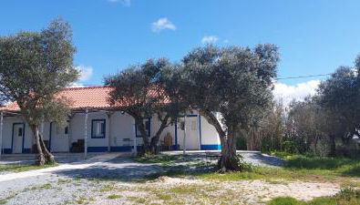 Monte da Masmorra de baixo-Casa Alentejana - Photo 2