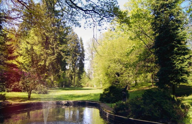 Country House in Czech Forest With Pool - Foto 39