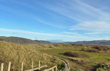 Little Curlew, Ynyslas, Borth - Foto 26