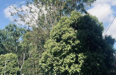 Casa em Garanhuns para até 6 pessoas com 2 vagas de garagem - Foto 22