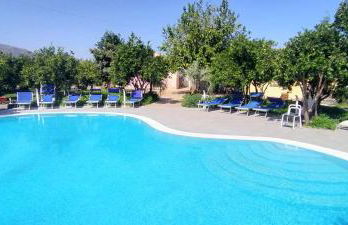 aranceto dell'Etna - Foto 53