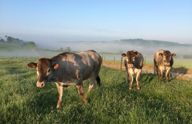 STUNNING FARM COTTAGES at South Downs Rural Retreats - Photo 89