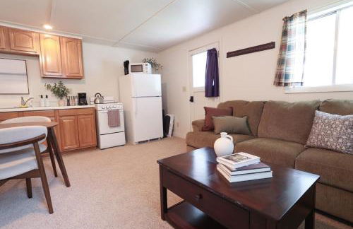 Wilderness West Resort Cabin 4 - Foto 9