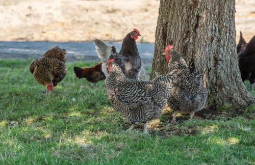 Red Barn Loft - Foto 31