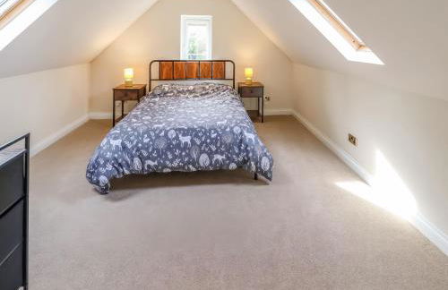 Paws In The Pines - Foto 12