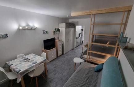 Aux pieds des pistes refait à neuf - Photo 1