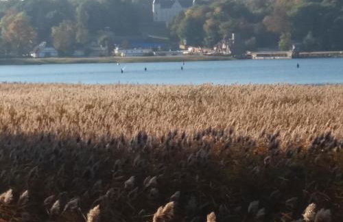 Störti 11 - Foto 13