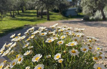 Il Casaletto - Guest House - Foto 63