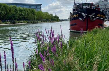 Paris-Eiffel, bienvenue -terrasse -Netflix - Foto 24