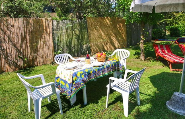 Bellavista farm of Quercini Maurizio - Foto 64