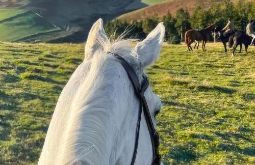 Stewards Bothy - Uk48303 - Foto 7