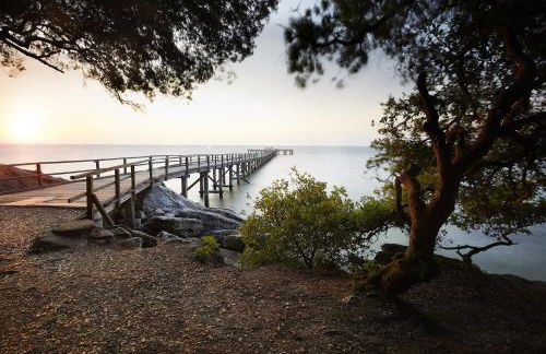 Maison pour 4 - Jardin - 400m plage des Lutins - Foto 24