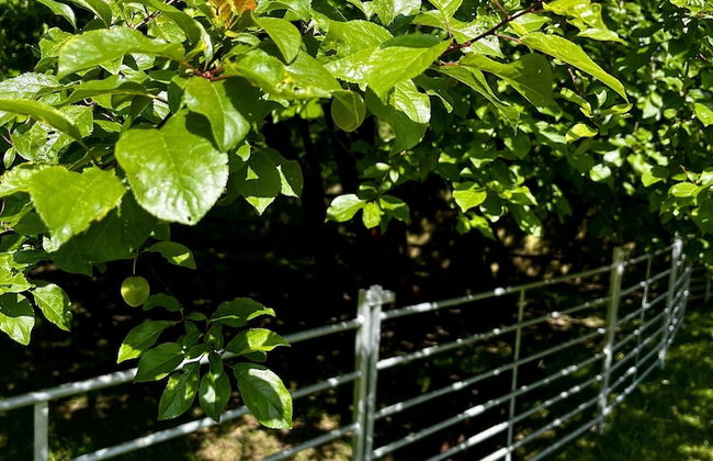 The Crooked Gate - Luxury Romantic Getaway - Foto 75