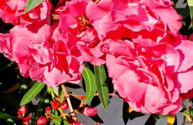 Casa di Marco Independent apartment with spectacular view - Foto 11