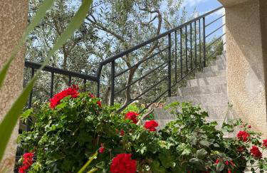 Jolie Ann Marie apartment - Photo 29