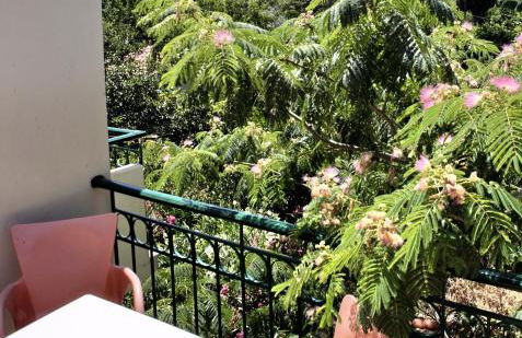 Sappho Studios - Photo 43