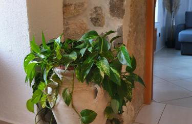 Apartment Chuck - Foto 54