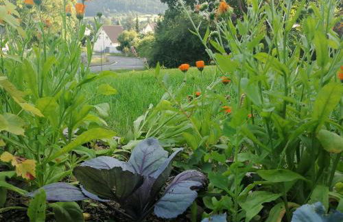 Villa Hinterland - Foto 5