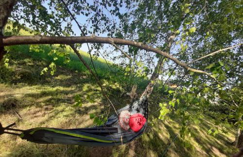 GREEN HOUSE - Foto 54