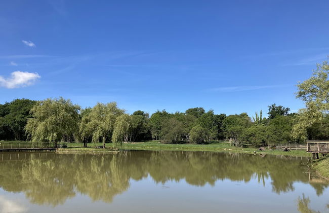 A 5 min de la plage en pleine nature - Foto 10
