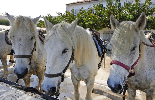 Holiday Cottage With Private Terrace, Bellegarde - Foto 58