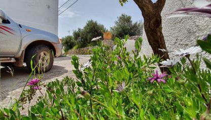 Ailamakis Apartements - Foto 4