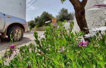 Ailamakis Apartements - Foto 4