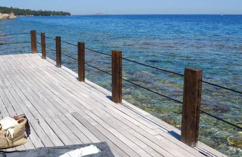 La tartaruga - Photo 17