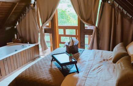 Cabanas dos Plátanos - Foto 31