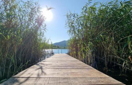 Baćina Lakes - Apartment Jelena - Foto 29