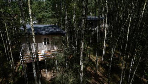 Domek w drzewach w Siedlisku Polanka - Foto 2