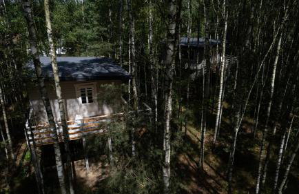 Domek w drzewach w Siedlisku Polanka - Foto 2