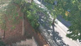 Lanotte del Falco - Foto 2