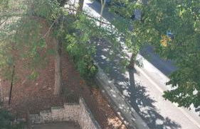 Lanotte del Falco - Foto 2