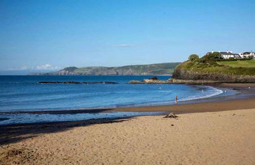 Wild Coastal Retreat at Troed Y Rhiw Aberporth, West Wales - Foto 61