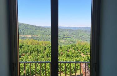 La Cuccia del Sole Panoramische appartementen met zwembad - Foto 11