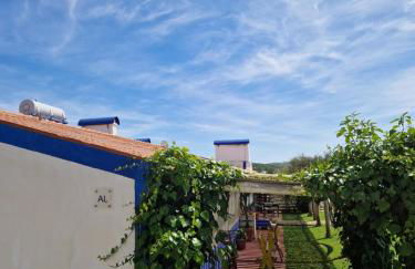 Monte das Aranhas - Foto 16