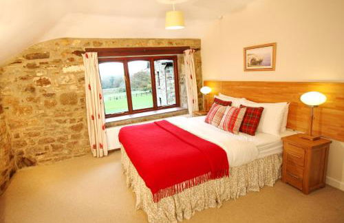 David's Organic Farm Wales - Foto 37