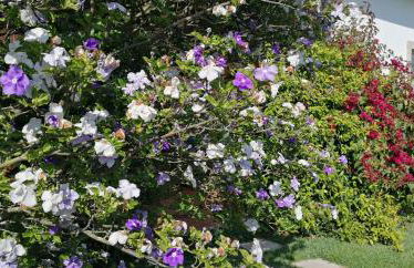 Casa Landim - Foto 76