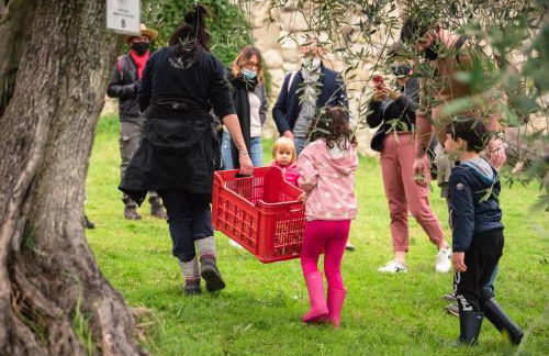 Fattoria di Maiano - Foto 106