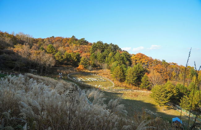 Mona Yongpyong Tower Condominium - Photo 53