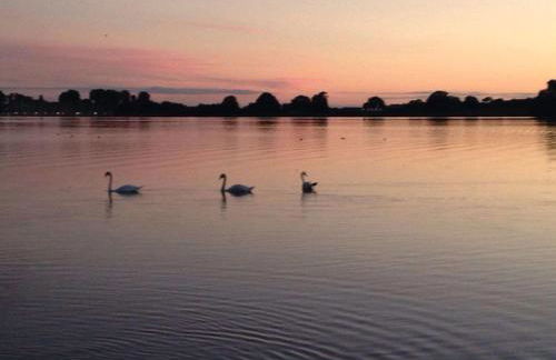 Luft Pur Ort - Photo 20