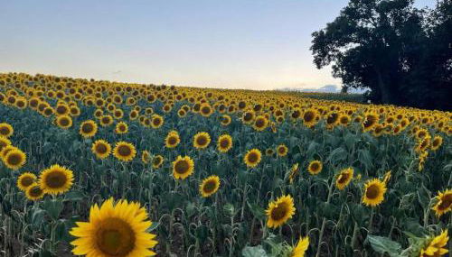 Casale Armonia - Foto 3