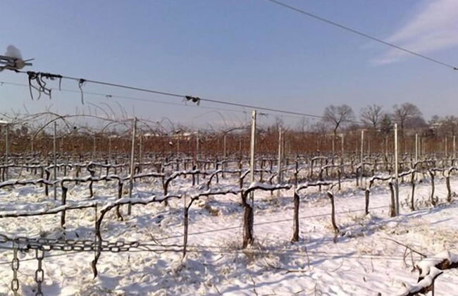 Agriturismo Caspineda - Foto 22