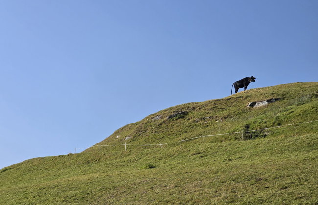 Rustico Cà dru Lurenz - Foto 23