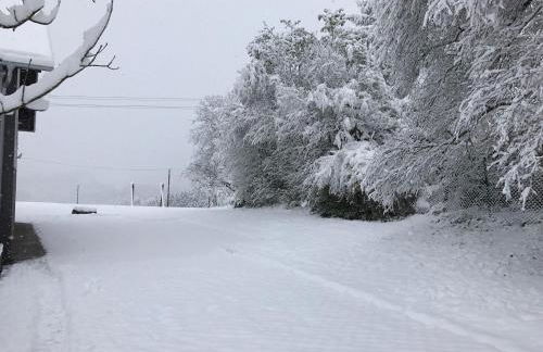 Zweizimmer-Apartment - Foto 18