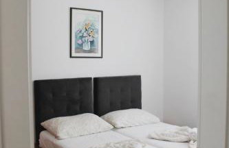 Beautiful vacation apartment Ivana in Novalja - Photo 1