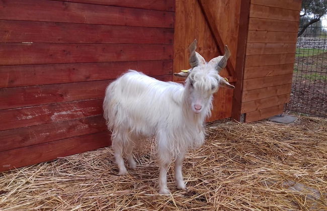 Agriturismo Specchiarussa - Foto 42