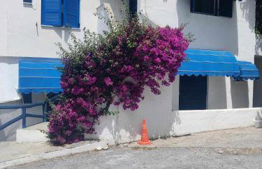 Brilliance Apartments - Foto 17