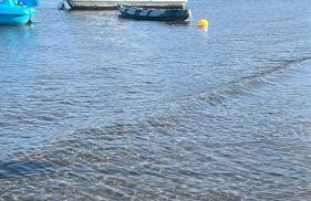 argentario home - Photo 19